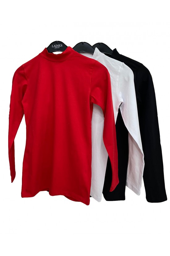 39939 - 3LÜ PAKET BAYAN UZUN KOL YARIM BALIKCI YAKA BADY 39939 - 3LÜ PAKET BAYAN UZUN KOL YARIM BALIKCI YAKA BADY